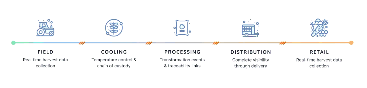 Tracerty hero animation